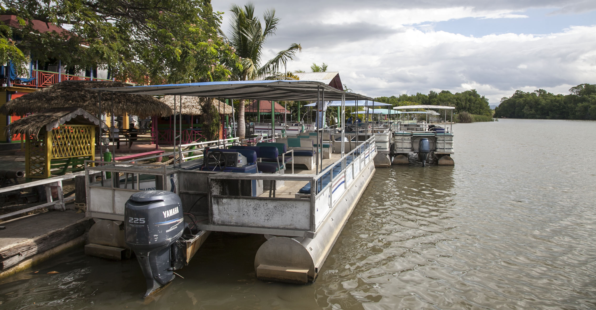  Black River Safari Photo - Joe Cool Taxi and Tours Jamaica - Jamaican Taxi and Tours by Joe Cool - www.joecooltaxiandtoursjamaica.com - www.joecooltaxiandtoursjamaica.net