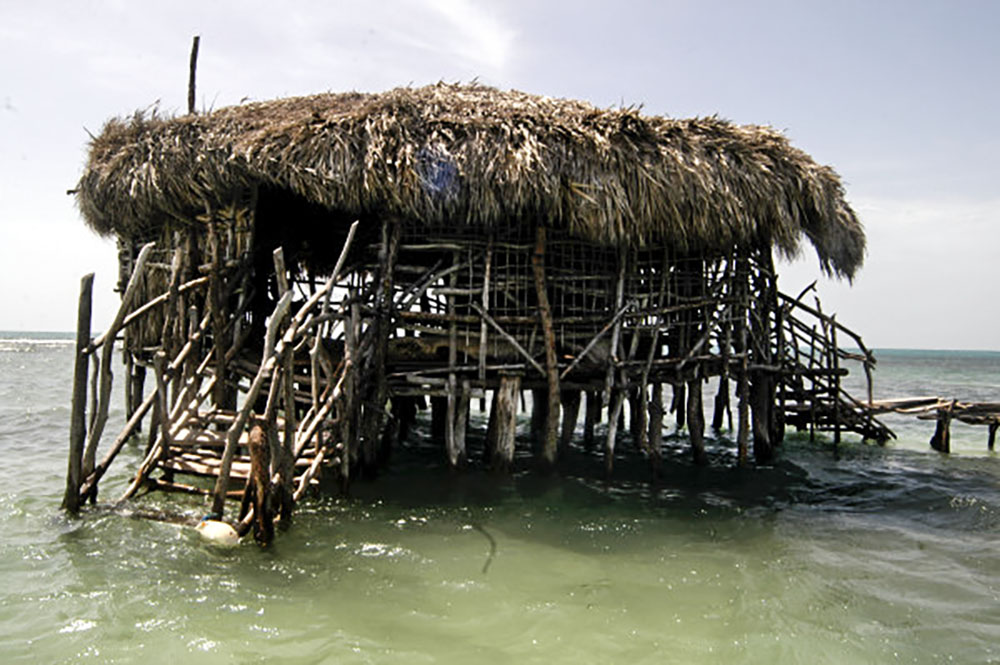 Pelican Bar Tour Photo - Joe Cool Taxi and Tours Jamaica - Jamaican Taxi and Tours by Joe Cool - www.joecooltaxiandtoursjamaica.com - www.joecooltaxiandtoursjamaica.net