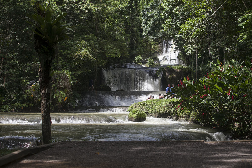 YS Falls Tour Photo - Joe Cool Taxi and Tours Jamaica - Jamaican Taxi and Tours by Joe Cool - www.joecooltaxiandtoursjamaica.com - www.joecooltaxiandtoursjamaica.net