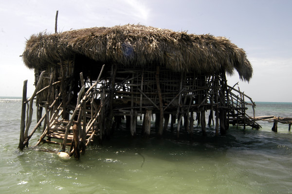 Pelican Bar Photo - Joe Cool Taxi and Tours Jamaica - Jamaican Taxi and Tours by Joe Cool - www.joecooltaxiandtoursjamaica.com - www.joecooltaxiandtoursjamaica.net